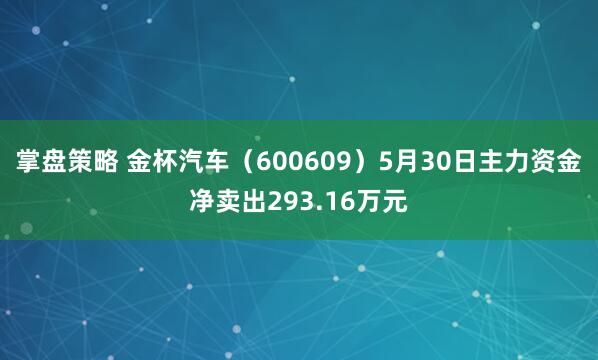 掌盘策略 金杯汽车（600609）5月30日主力资金净卖出293.16万元