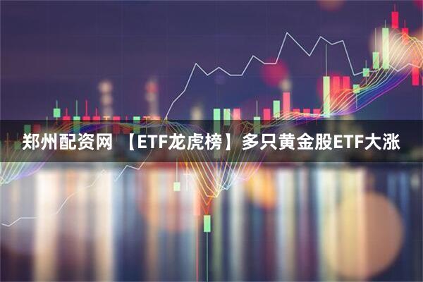 郑州配资网 【ETF龙虎榜】多只黄金股ETF大涨