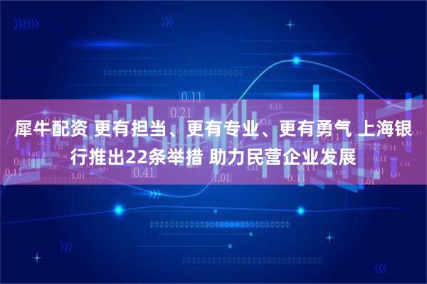 犀牛配资 更有担当、更有专业、更有勇气 上海银行推出22条举措 助力民营企业发展