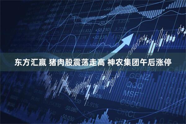 东方汇赢 猪肉股震荡走高 神农集团午后涨停