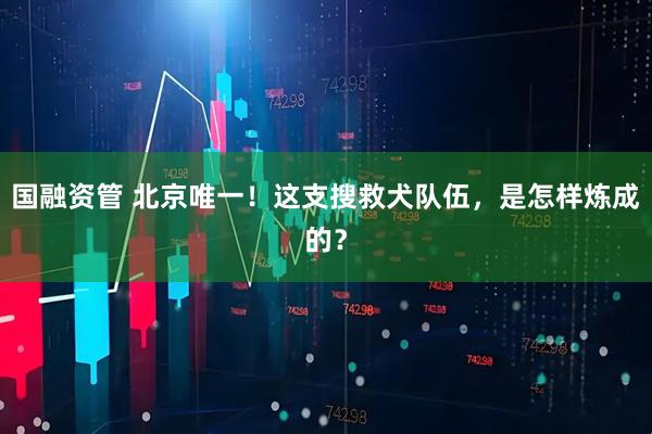 国融资管 北京唯一！这支搜救犬队伍，是怎样炼成的？